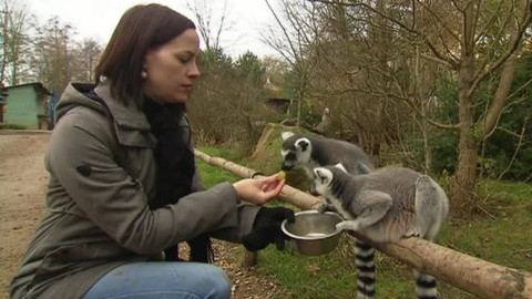 Chcete mě? - 28. prosince 2014