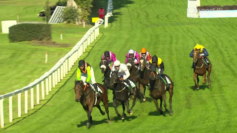 Dostihy - Cena Zimní královny