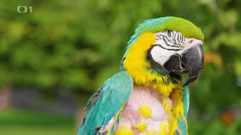 Toulavá kamera - 5. října