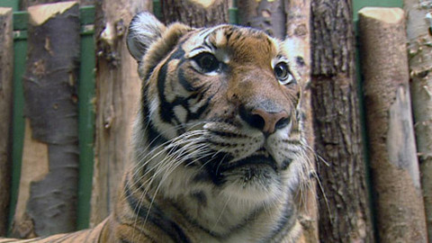 Z metropole - 28. dubna 2012