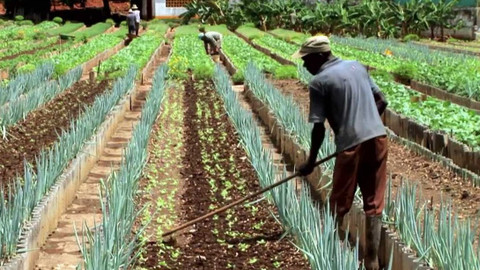 Evropa dnes - Hnutí za postfosilní zemědělství