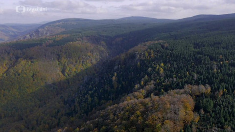Minuty z přírody - Jizerskohorské bučiny