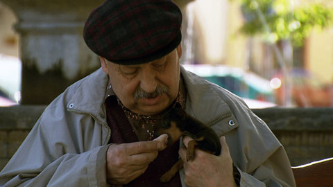 Život je ples - 11/16 Štěně