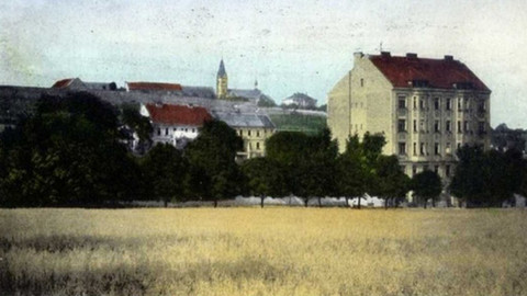 Z metropole - 11. listopadu 2023