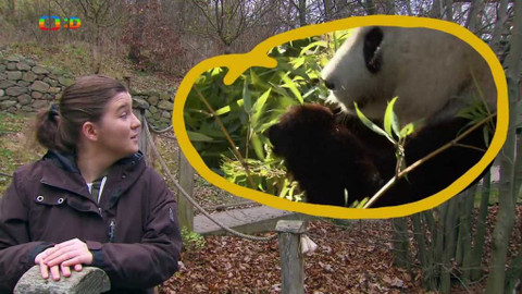 Terčin zvířecí svět - 6. března 2020