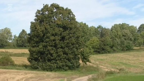 Přidej se - Krajinné prvky