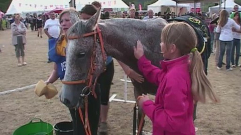 Jezdectví - ME v jezdecké vytrvalosti