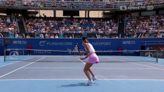 WTA 250 2026 Česko