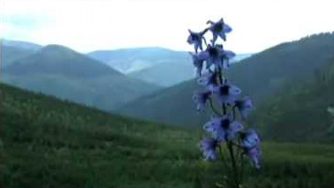 Živé srdce Evropy - Stračka vyvýšená