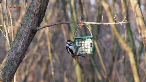 Zprávičky - 12. ledna 2021