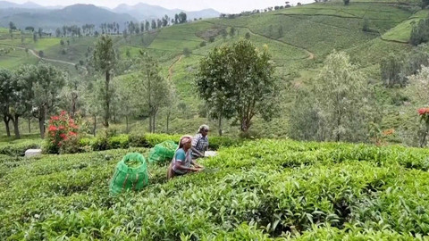 Černé ovce - 3. prosince 2024