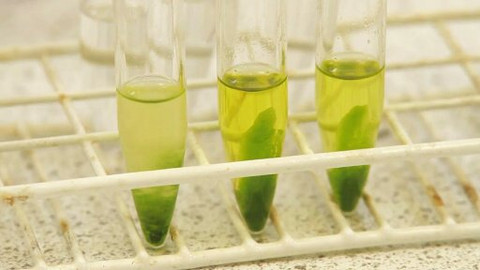 Bojovníci s klimatem - 9/21 Palivo budoucnosti