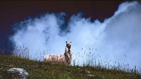 Wiadomości w języku polskim - 3. září 2017