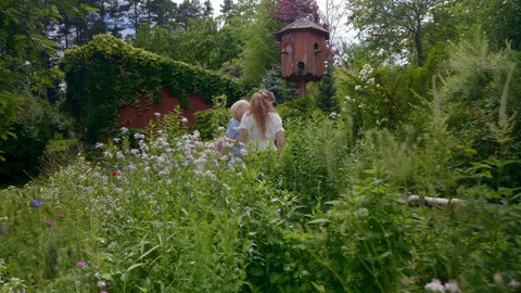 Zázračné bylinky - 1/13 Návrat ke kořenům