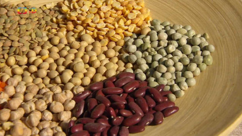 Draci v hrnci - Sója, čočka, fazole – a kaše je na stole