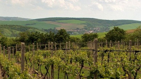 Na cestě - Na cestě po hanáckém Slovácku