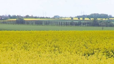 Nedej se! - Biopaliva versus příroda