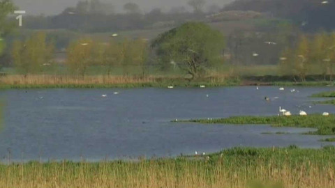 Živé srdce Evropy - Mokřina u Rzů