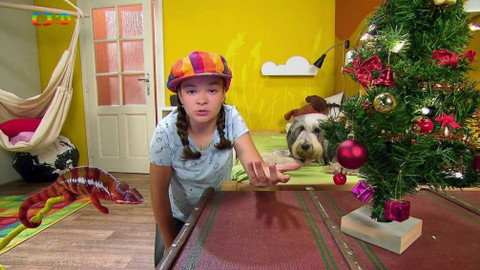 Terčin zvířecí svět - 13. prosince 2019