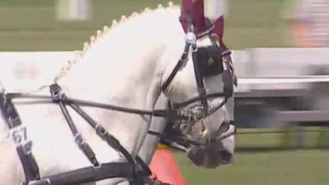 Jezdectví - Mezinárodní závody jezdeckých spřežení Kladruby