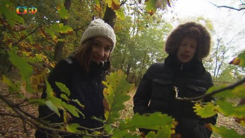 Dé pětka - 26. října 2014