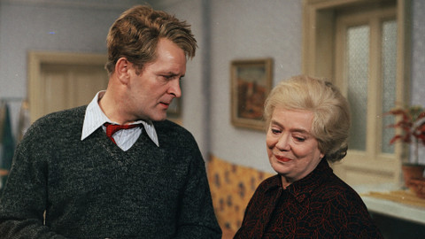 Třicet případů majora Zemana - 8/30 Strach