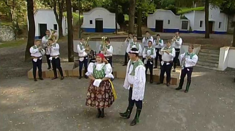 Hraje vám... / Zveme vás... - Vinobraní