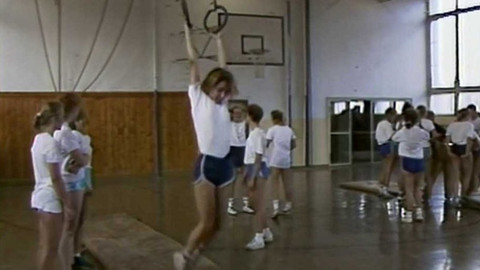 Archiv D - Tyršáku na Sorbonnu