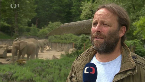 Týden v regionech (Brno) - 11. prosince 2021