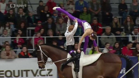 Jezdectví - Jezdecký festival v Lysé nad Labem