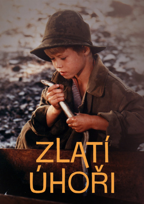 Zlatí úhoři