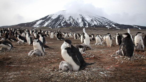 Planeta Země - 1/6 Ostrovy