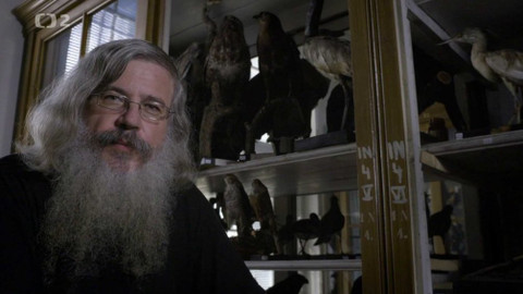 Člověk, to je věda - Jestřábi a Hrdličky