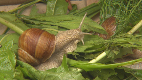 Chcete mě? - 16. června 2019