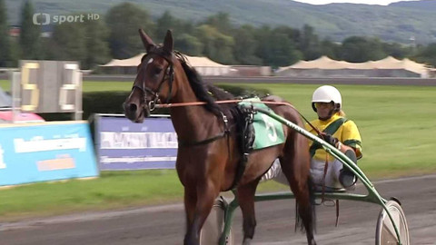 Dostihy - Derby hlavního města Prahy