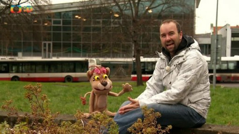 Lvíčata - Akvabely