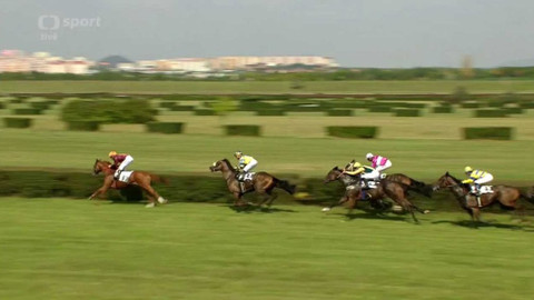Dostihy - Velká letní cena a Velká mostecká steeplechase