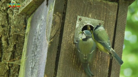 Novinky z přírody - Epizoda 12/53