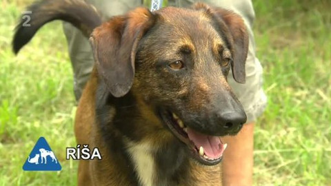 Chcete mě? - Chcete je?