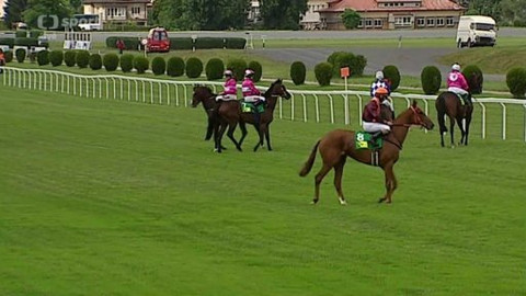 Jezdectví - České derby 2015 Velká Chuchle