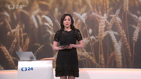 90’ ČT24 - Zdražování v Česku pokračuje