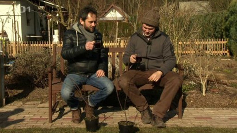 Polopatě - 8. března 2015