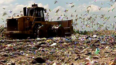 Pod pokličkou - Zbytkům jídla po vaření v popelnici dobře není