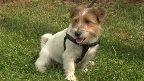 Chcete mě? - 9. září 2018