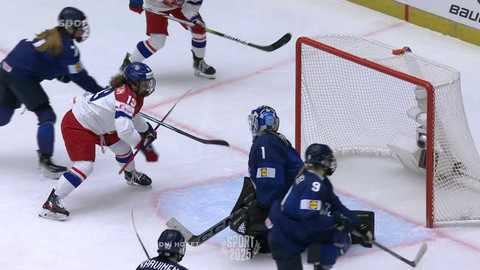 Sport roku - Lední hokej