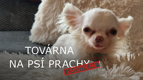 Továrna na psí prachy - livestream