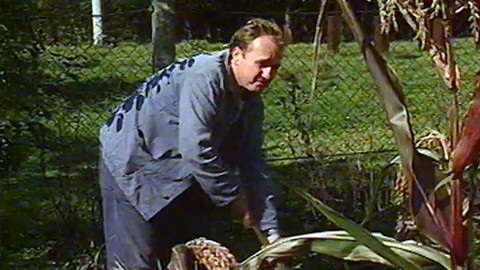 Bakaláři - Hledač pokladu