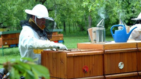 Devatero řemesel - Meteorolog Pavel Karas včelařem