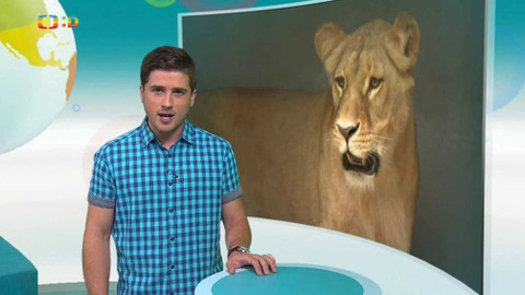 Zprávičky - 12. srpna 2017