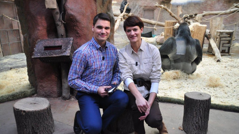 Hyde Park Civilizace - Ohrožené druhy zvířat